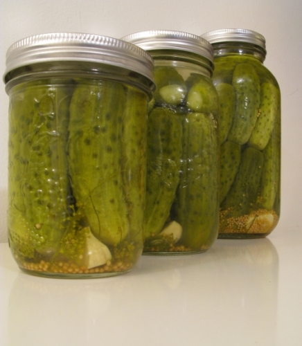 pickle.jpg