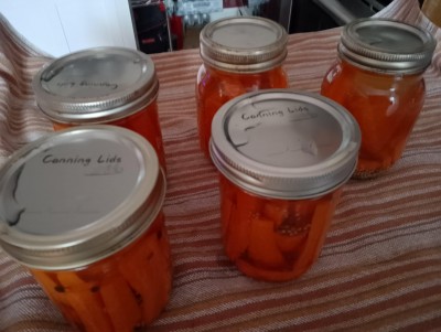 Carottes marinée recette de Ricardo.jpg