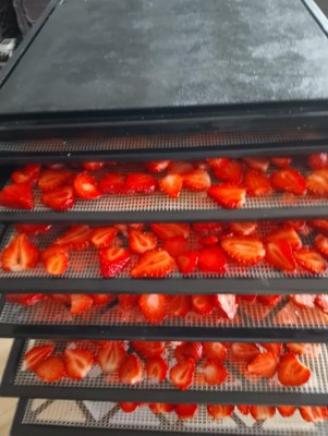 Fraises au déshydrateur.jpg