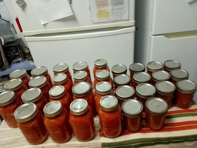 19 litres de quartiers de tomates et 14 pots de 500 ml de sauce tomate épaisse.jpg
