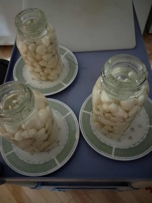 ail lactofermenté (2).jpg
