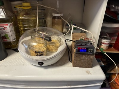 tempeh pois chiche 1.jpg