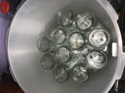 IMG_9035.v01.jpg